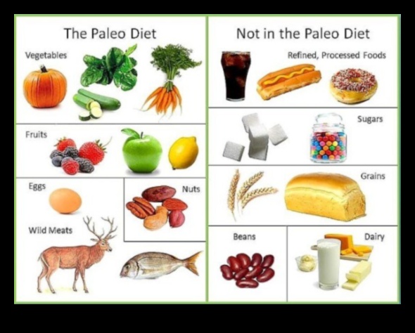 Dieta paleo ce trebuie să mănânci și să evităm